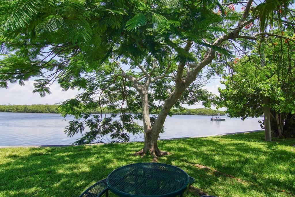 Riverview, Studio 507, Beach Steps Away!+Pool+Wifi Ruskin Dış mekan fotoğraf